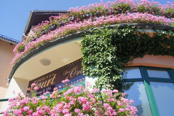 Court Wellness&SPA (Kędzierzyn-Koźle)